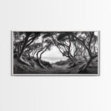 Coastal Trees, Windswept Forest, Ocean View, Framed Canvas Print, Boho Wall Art, Living Room Art, Nature Wall Decor, Monochrome Landscape