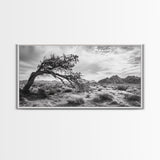 Twisted Tree, Desert Landscape, Surreal Nature, Canvas Print, Rustic Western Decor, Living Room Wall Art, Moody Earth Tones, Fall Aesthetic
