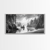Forest Coast, Secluded Beach, Ocean Rocks, Misty Trees, Framed Canvas Print, Nature Wall Art, Living Room Decor, Moody Landscape