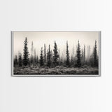 Misty Pines, Evergreen Forest, Morning Fog, Monochrome Nature, Canvas Print, Fall Entryway Wall Art, Woodland Boho Home Decor