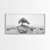 Solitary Tree, Minimalist Nature, Desert Landscape, Canvas Print, Modern Home Decor, Neutral Wall Art, Entryway Accent, Calm Mood Art