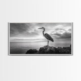 Heron Bird, Ocean Rock, Serene Wildlife, Canvas Print, Coastal Wall Art, Modern Farmhouse Decor, Minimalist Animal Scene