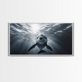 Underwater Dolphin, Ocean Wildlife Art, Marine Animal Decor, Coastal Vibes, Canvas Print, Bathroom Wall Art, Nautical Themed Room