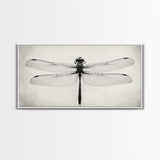 Dragonfly Sketch, Insect Art Print, Botanical Illustration, Minimalist Natural History, Framed Canvas Print, Office or Study Wall Art