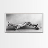 Driftwood Sculpture, Organic Modern Art, Natural Wood Texture, Neutral Decor, Framed Canvas Print, Bedroom or Living Room Wall Art