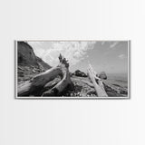 Coastal Driftwood, Beach Landscape, Pebble Shore Scene, Natural Decor Accent, Canvas Print, Relaxed Vibe, Entryway or Den Wall Art