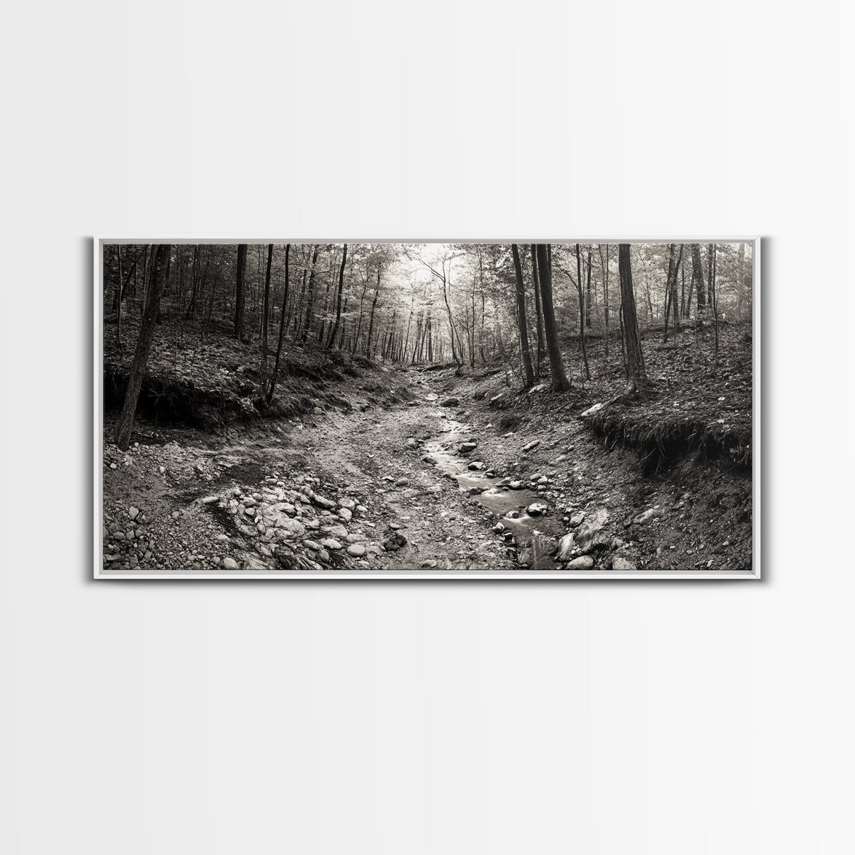 Forest Stream, Tranquil Woodland Path, Autumn Nature Photography, Framed Canvas Print, Rustic Cabin Decor, Living Room Wall Art