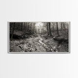 Forest Stream, Tranquil Woodland Path, Autumn Nature Photography, Framed Canvas Print, Rustic Cabin Decor, Living Room Wall Art