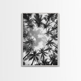 Palm Tree Sky, Tropical Canopy, Black and White Island View, Jungle Overhead Scene, Framed Canvas Print, Bathroom Wall Art, Beach Boho Decor