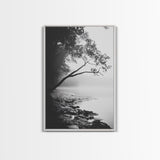 Misty Tree, Shoreline Fog, Forest Edge, Moody Atmosphere, Framed Canvas Print, Bedroom Wall Art, Autumn Woodland Style, Serene Nature Decor