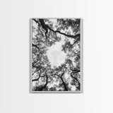 Forest Canopy View, Tree Tops Art, Nature Sky Print, Framed Canvas Print, Bedroom Wall Art, Minimalist Nature, Modern Rustic Decor