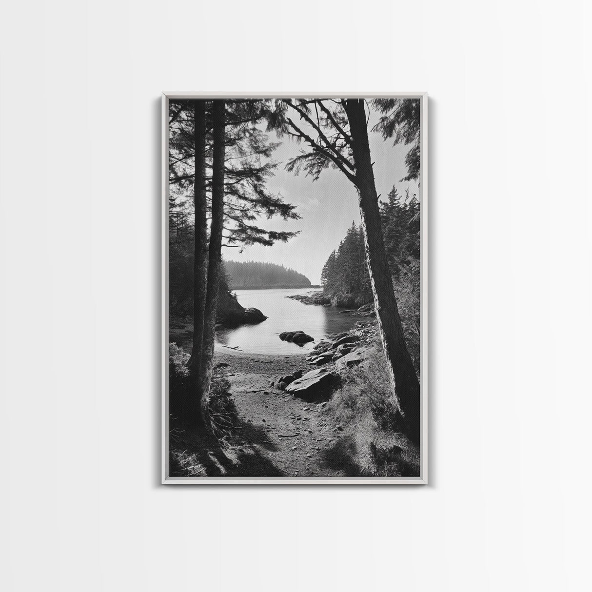 Woodland Cove Path, Tranquil Forest Scene, Nature Escape Art, Canvas Print, Cabin Wall Art, Coastal Boho Decor, Black White Landscape