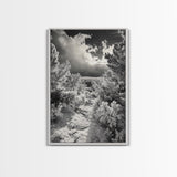 Snowy Pine Path, Winter Forest Light, Frozen Landscape Art, Canvas Print, Holiday Wall Art, Minimalist Winter, Nordic Style Decor