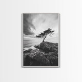 Lone Tree, Cliffside Ocean, Windy Coast Art, Framed Canvas Print, Bedroom Wall Art, Modern Nature Photography, Coastal Minimalist Decor