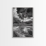 Tropical Palm, Reflected Sky, Nature Tranquility, Canvas Print, boho wall decor, bathroom art, tropical reflection photography
