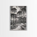 Forest Shadows, Tall Pines, Natural Light, Framed Canvas Print, woodland landscape, rustic cabin decor, autumn forest art