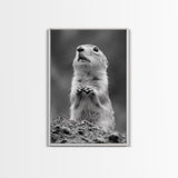 Prairie Dog, Wildlife Watch, Nature Moment, Framed Canvas Print, Whimsical Animal Wall Art, Nursery Decor, Cute Forest Creature