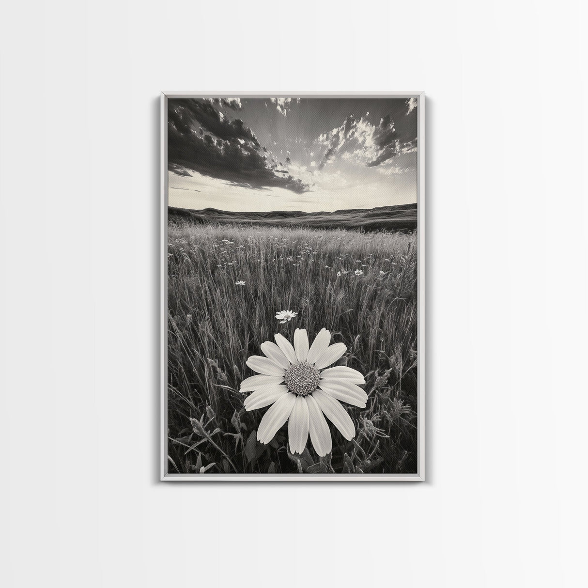 Wildflower Field, Daisy Bloom, Summer Meadow, Framed Canvas Print, Boho Botanical Wall Art, Bedroom Decor, Earthy Nature Photography