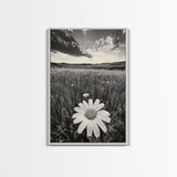 Wildflower Field, Daisy Bloom, Summer Meadow, Framed Canvas Print, Boho Botanical Wall Art, Bedroom Decor, Earthy Nature Photography
