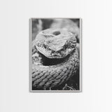 Rattlesnake Face, Coiled Closeup, Venomous Gaze, Canvas Print, Macro Wildlife Wall Art, Reptile Decor, Intense Black White Photography