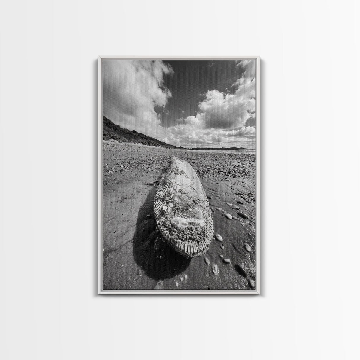 Whale Bone, Coastal Find, Ocean Relic, Framed Canvas Print, Seaside Wall Art, Beach House Decor, Nautical Minimalist Photography