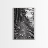 Forest Pathway Trail, Wilderness Escape, Rustic Nature, Black and White Framed Canvas Print, Cozy Cabin or Entryway Wall Art