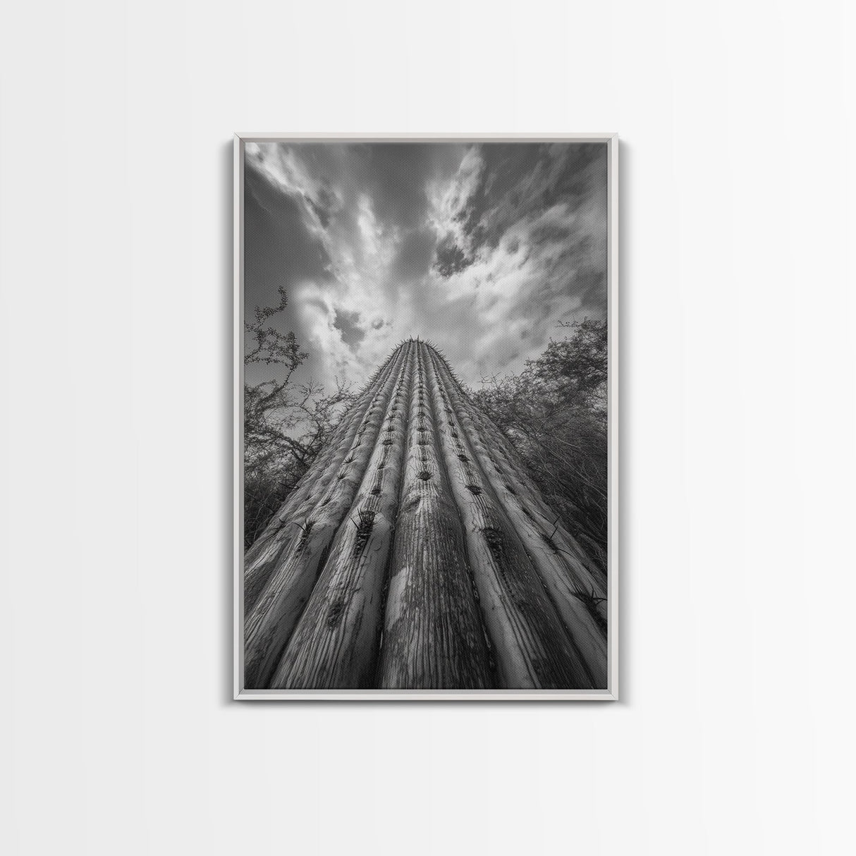 Tall Cactus, Desert Skies, Cactus Wall Art, Framed Canvas Print, Boho Desert Decor, Minimalist Nature Print, Bedroom Southwest Style