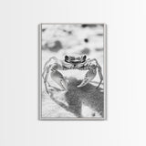 Sand Crab, Beach Macro, Ocean Critter Art, Framed Canvas Print, Coastal Bathroom Decor, Beach House Wall Art, Nature Close-Up
