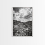 Sandy Trail, Ocean Path, Windy Grass, Moody Sky, Framed Canvas Print, coastal nature photography, hallway decor, rustic neutral art