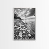 Flower Shore, Peaceful Beach, Moody Sky, Petal Scape, Framed Canvas Print, romantic beach art, bedroom decor, black and white floral print