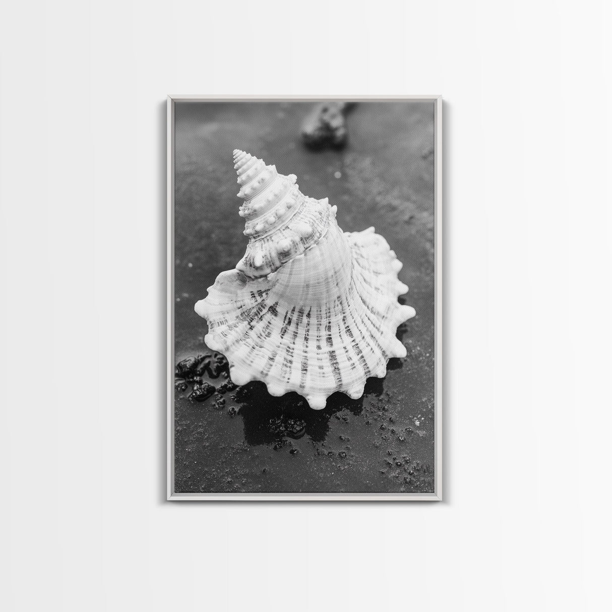 Spiral Shell, Beach Texture, Nature Closeup, Sea Whisper Framed Canvas Print, minimalist beach wall art, boho coastal kitchen decor