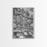 Oak Tree Tunnel, Southern Charm, Shaded Pathway, Timeless Trees Framed Canvas Print, farmhouse wall decor, hallway landscape art
