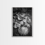 Seashell Pile, Textured Beach, Coastal Treasures, Natural Beauty Framed Canvas Print, bathroom decor, shell art, beach wall style