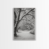 Snowfall Trees, Winter Forest, Nature Pathway, Canvas Print, Holiday Season Decor, Cozy Living Room or Cabin Wall Art