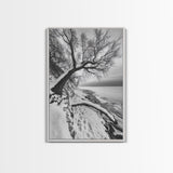 Coastal Snow, Barren Tree, Frozen Shoreline, Canvas Print, Serene Winter Decor, Entryway or Hallway Minimalist Wall Art