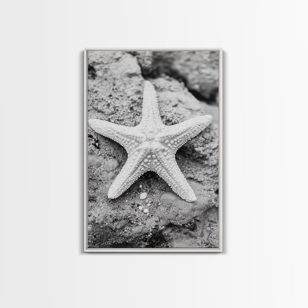 Starfish Closeup, Coastal Shell, Beach Texture, Framed Canvas Print, Bathroom or Ocean Nursery Decor, Minimal Beach Art