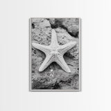 Starfish Closeup, Coastal Shell, Beach Texture, Framed Canvas Print, Bathroom or Ocean Nursery Decor, Minimal Beach Art