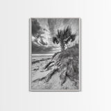 Palm Tree Beach, Coastal Dunes, Dramatic Sky, Framed Canvas Print, Tropical Wall Art, Boho Living Room Decor, Beach House Art
