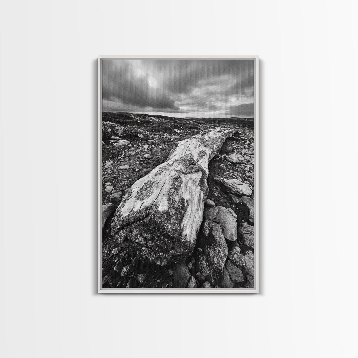Rocky Terrain Driftwood, Weathered Wood Scene, Outdoor Adventure Art, Modern Rustic Decor, Framed Canvas Print, Earthy Tones Photography