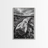 Rocky Terrain Driftwood, Weathered Wood Scene, Outdoor Adventure Art, Modern Rustic Decor, Framed Canvas Print, Earthy Tones Photography