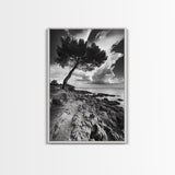 Wind Bent Tree, Coastal Cliff, Solitary Beauty, Canvas Print, Nature Photography Wall Art, Minimalist Earthy Decor, Moody Landscape