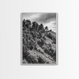 Hillside Forest, Peaceful Pines, Mountain Light, Framed Canvas Print, Nature Wall Art, Cabin Decor, Woodland Landscape Scene