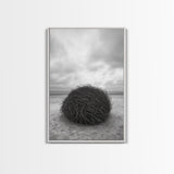 Windswept Beach Nest, Natural Sculpture, Driftwood Ball, Solitude Scene, Canvas Print, Minimalist Wall Art, Neutral Bedroom Decor