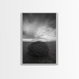 Twilight Field Nest, Tumbleweed Art, Desert Calm, Grassy Plains, Framed Canvas Print, Entryway Wall Art, Boho Nature Landscape