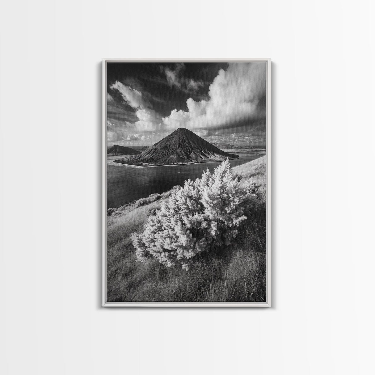 Majestic Volcano, Wild Grass, Black and White, Framed Canvas Print, Nature Photography, Office Decor, Moody Art, Rustic Wall Art
