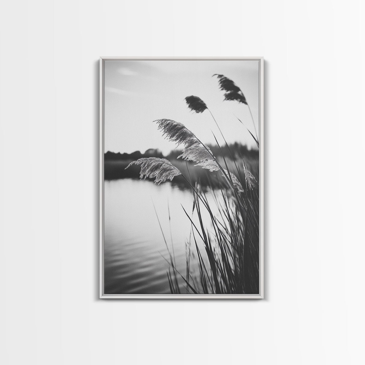 Reed Grass, Gentle Breeze, Black and White Nature, Canvas Print, Minimalist Wall Art, Tranquil Lake Scene, Bedroom Decor