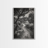 Forest Path, Twisting Trees, Nature Trail Scene, Framed Canvas Print, Earthy Wall Art, Boho Woodland Decor, Entryway or Hallway Accent