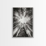 Redwood Canopy Sky, Majestic Forest Trees, Vertical Nature Scene, Framed Canvas Print, Wilderness Wall Art, Lodge or Den Decor