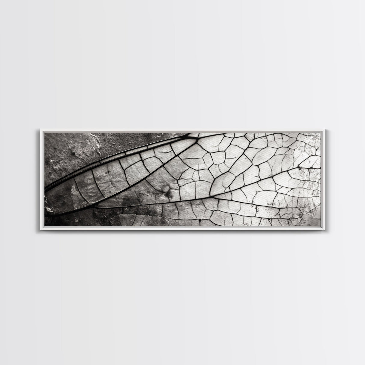 Macro Insect Wing, Abstract Nature Texture, Modern Neutral Wall Decor, Framed Canvas Print, Office Art, Monochrome Macro Photography