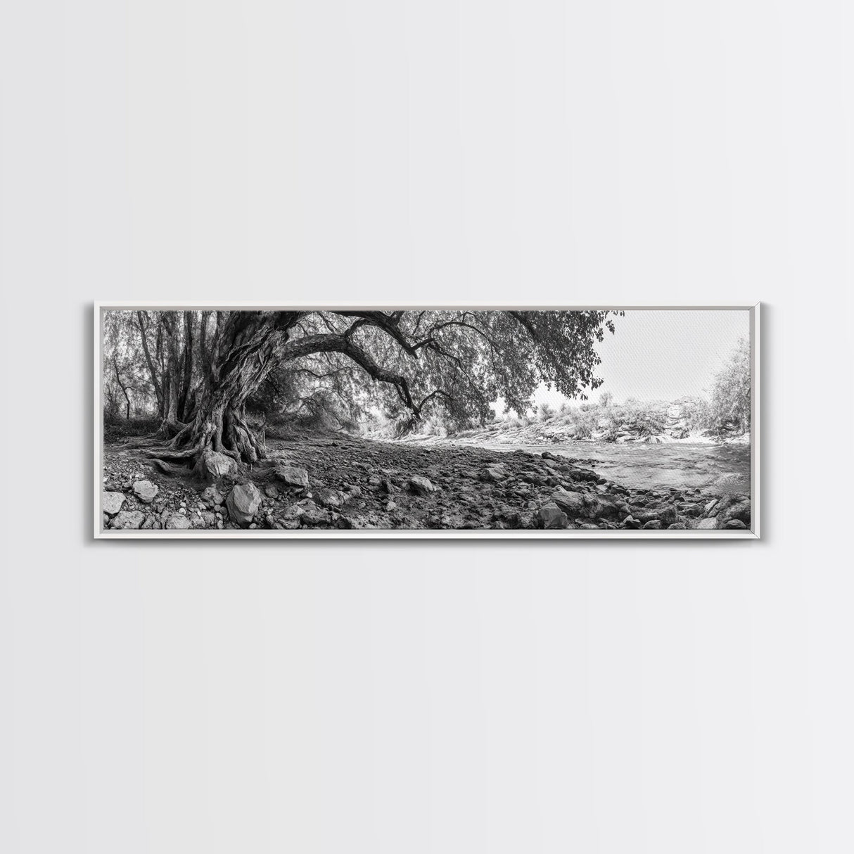 River Tree Roots, Tranquil Forest Landscape, Nature Wall Decor, Framed Canvas Print, Living Room Art, Black and White Earthy Style